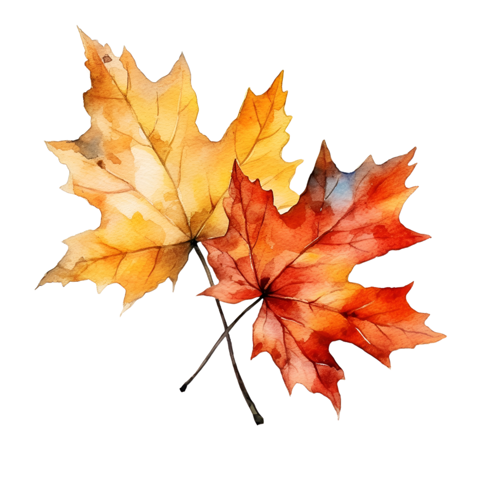 Cute fall clipart autumn vector