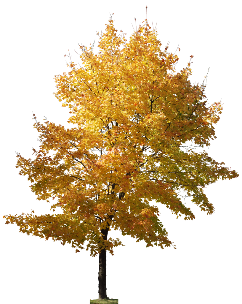 Fall tree pin page clipart logo