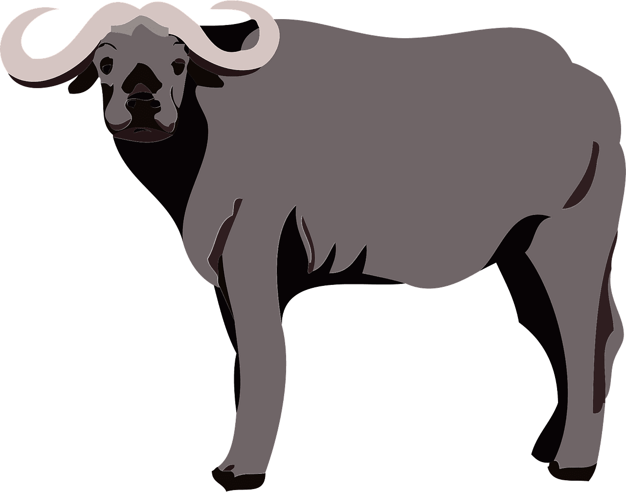 Water buffalo vector clipart images