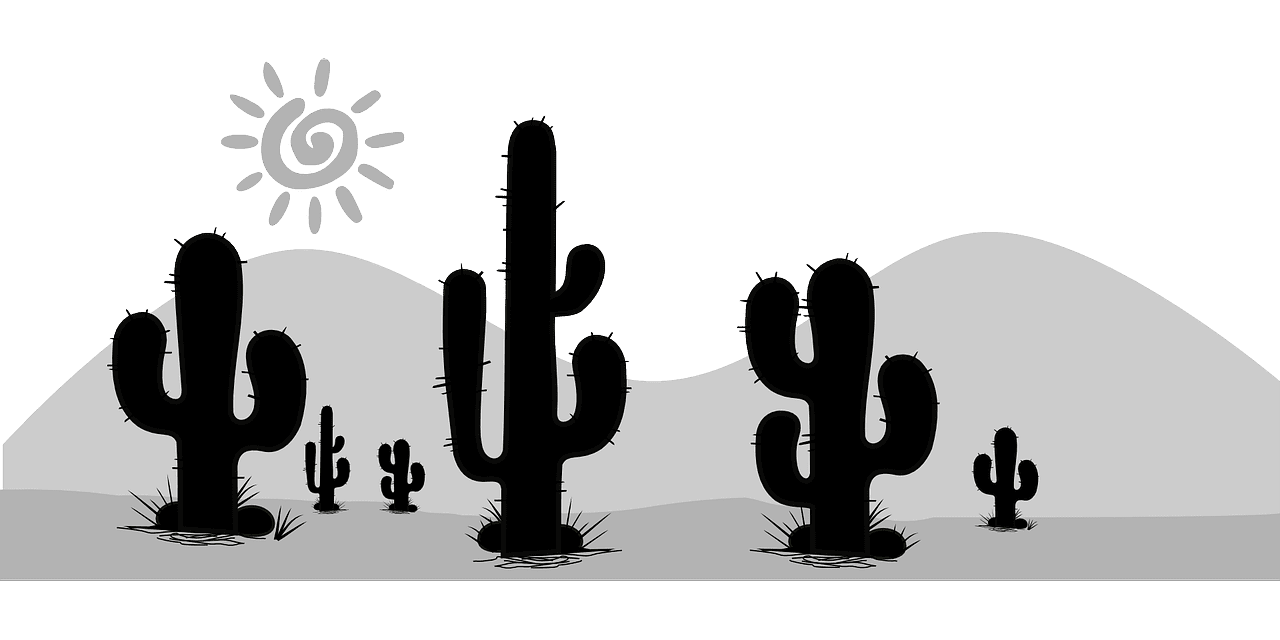 Desert landscape vector art graphics clipart