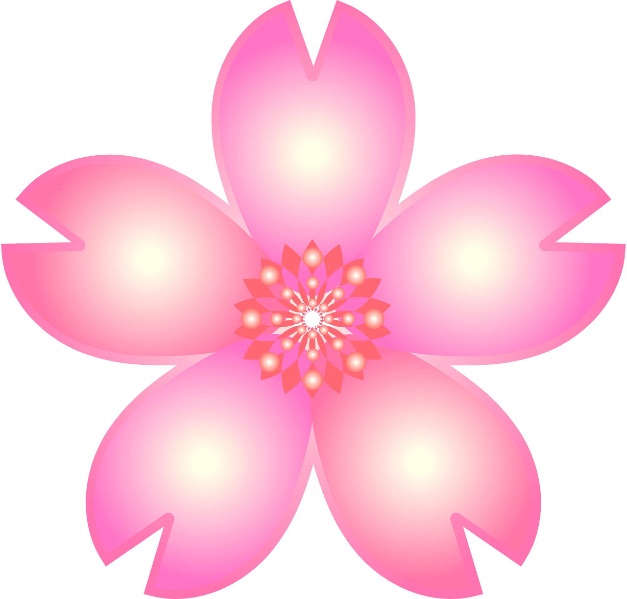 Cherry flower blossoms vector clipart images