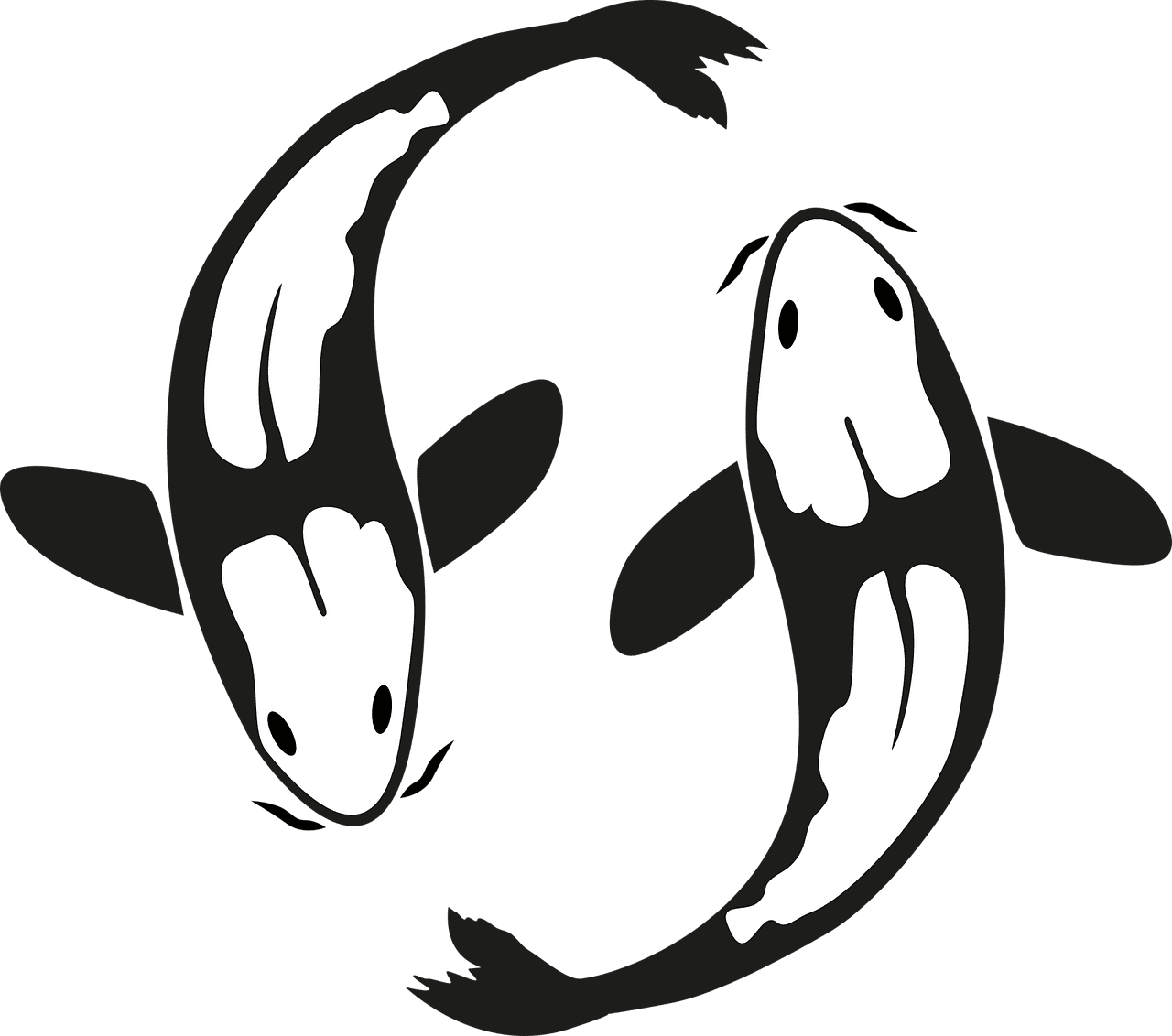 Black white fish koi pond vector graphic clipart