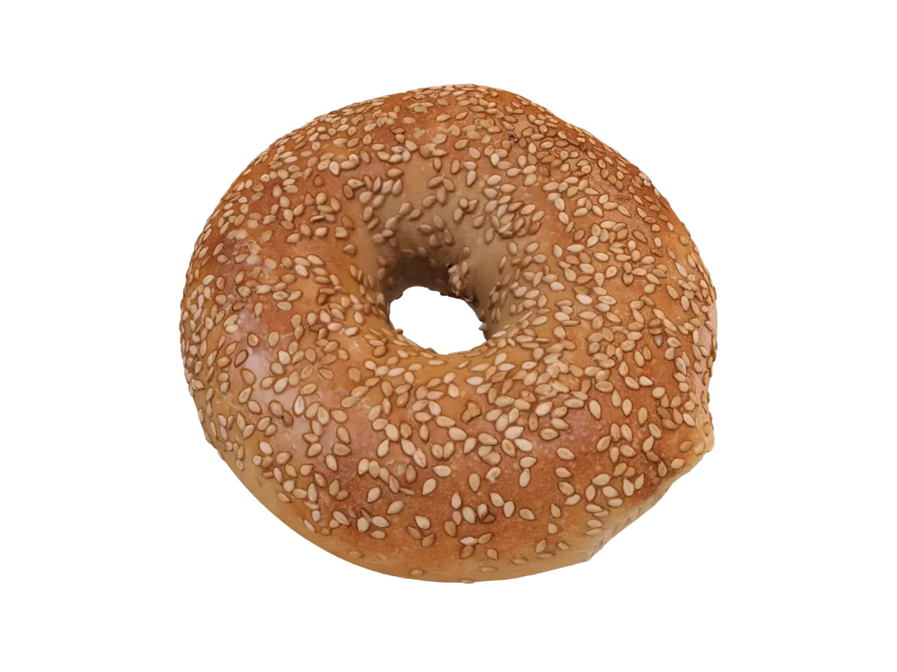 Sesame seed bagel scan pbr model models world clipart clip art