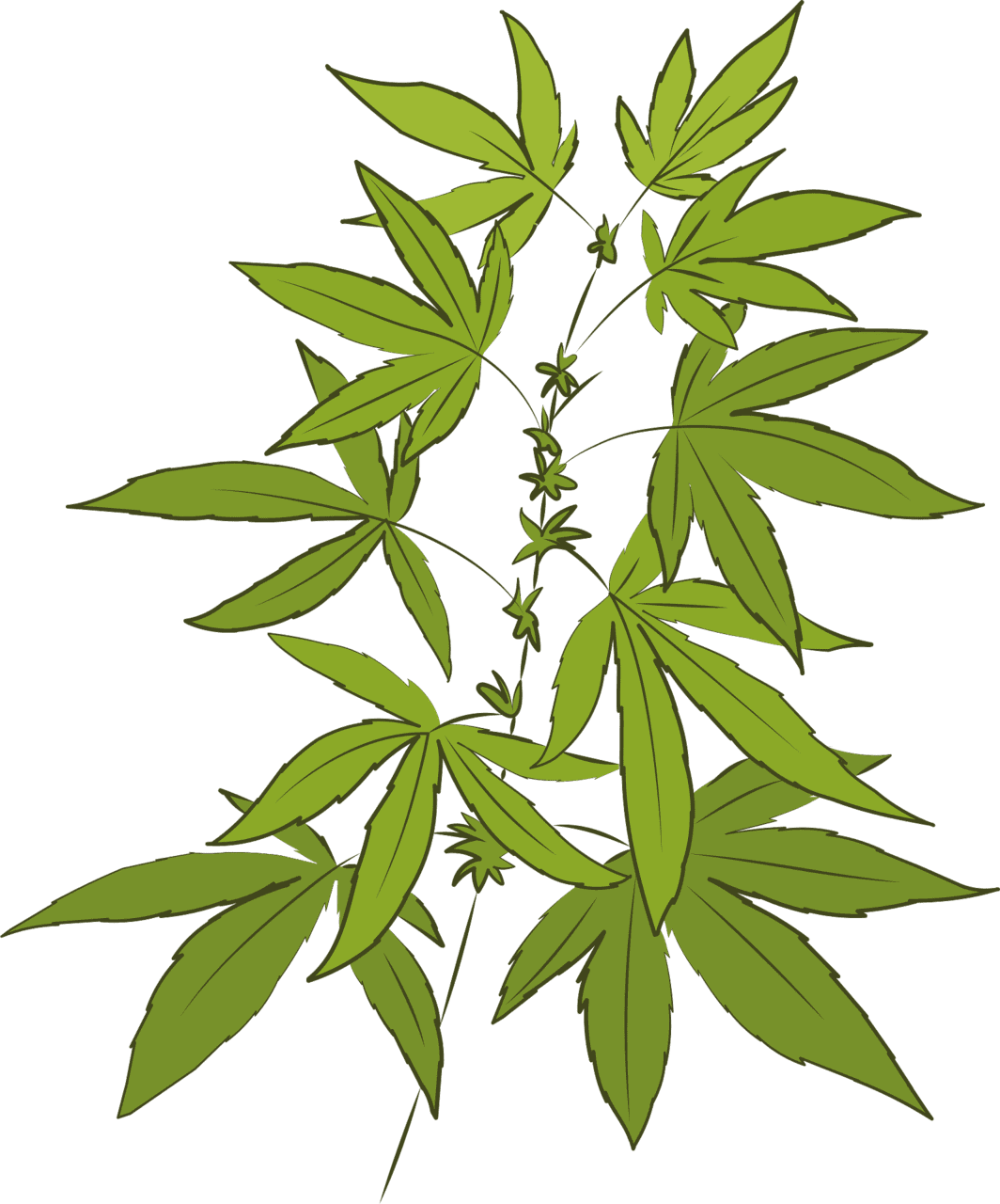 Marijuana leaf vector clipart images 4