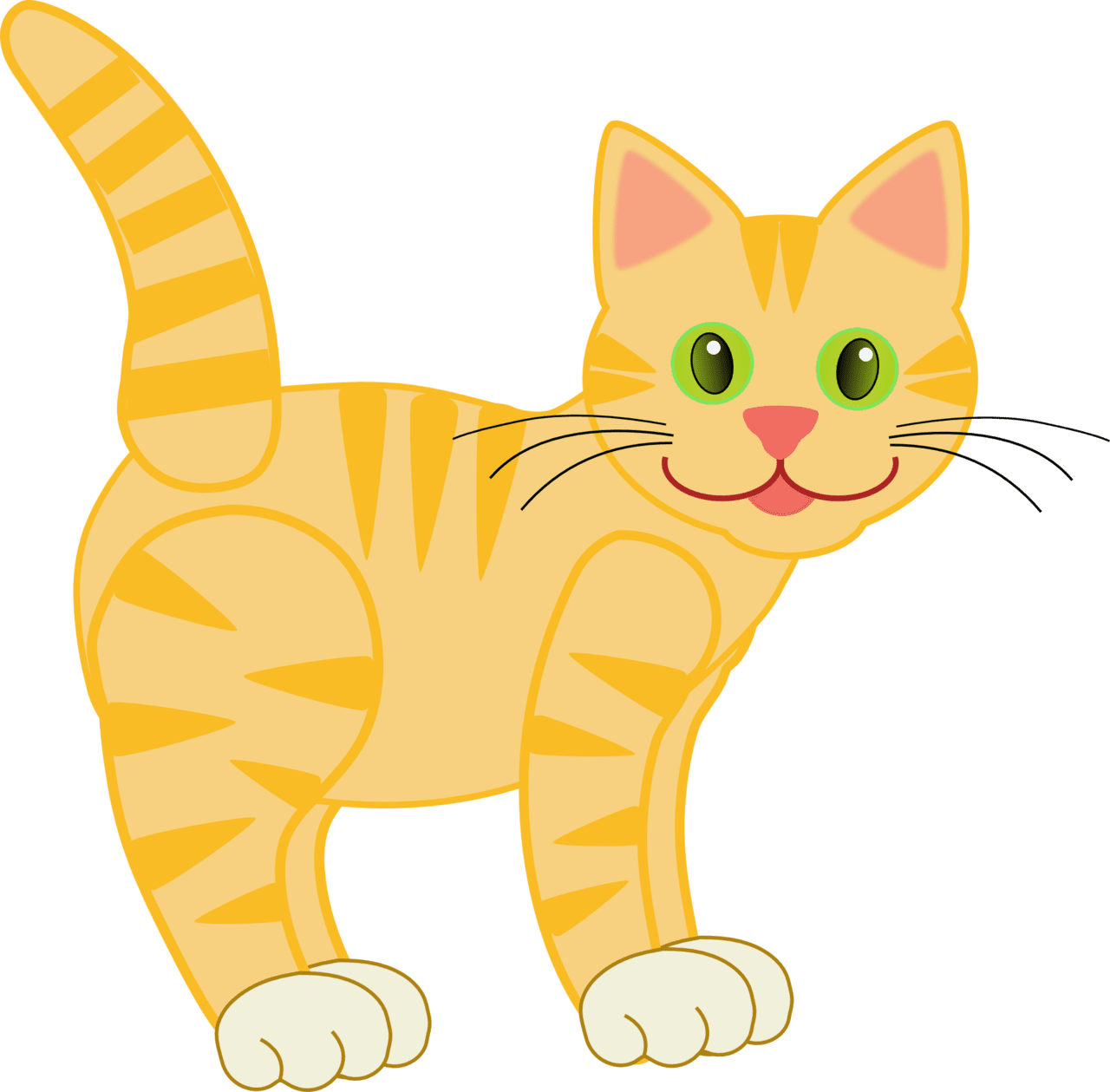 Imagery cat clipart