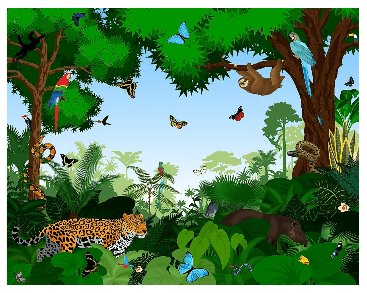 Jungle habitat and ecological niche clipart background