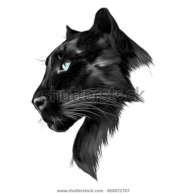 Jaguar ideas de panteras negras felinos tatuaje pantera animales clipart logo