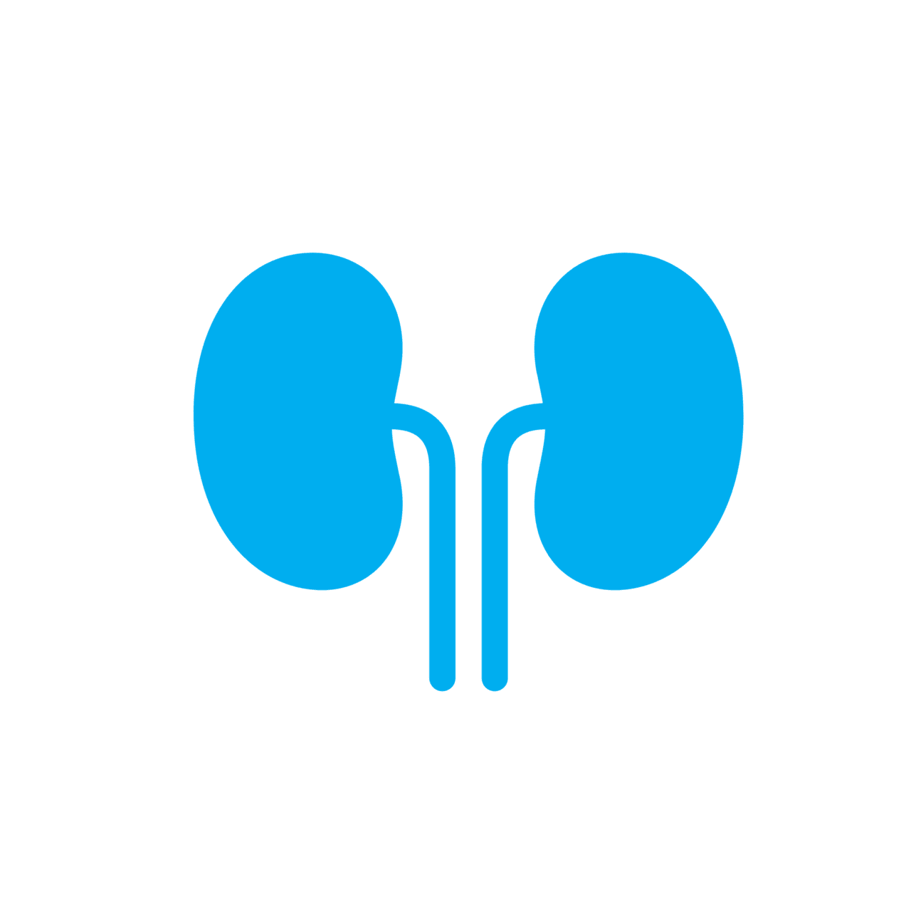 Kidney argenta clinical services clipart picture