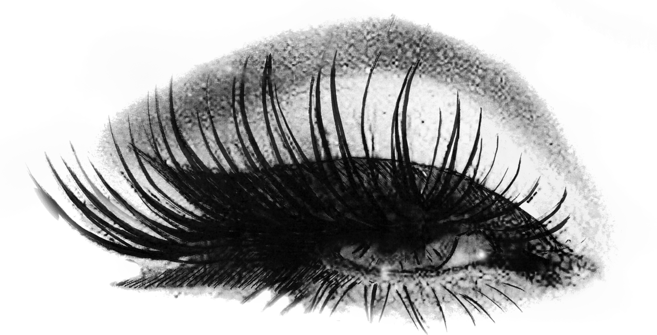 Lashes eyelash logo beauty branding lash art signature glamour symbol clipart