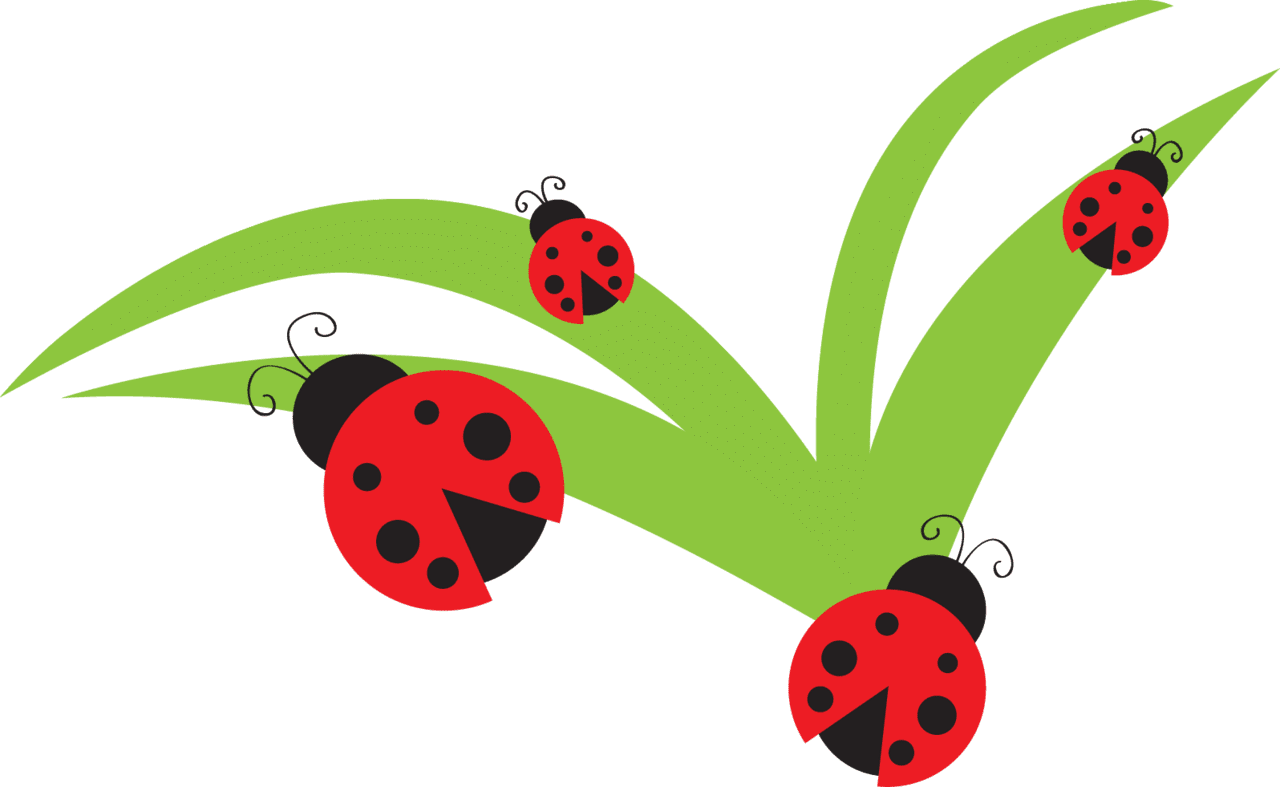 Lady beetle ladybugs wall decals buy line or call clipart free