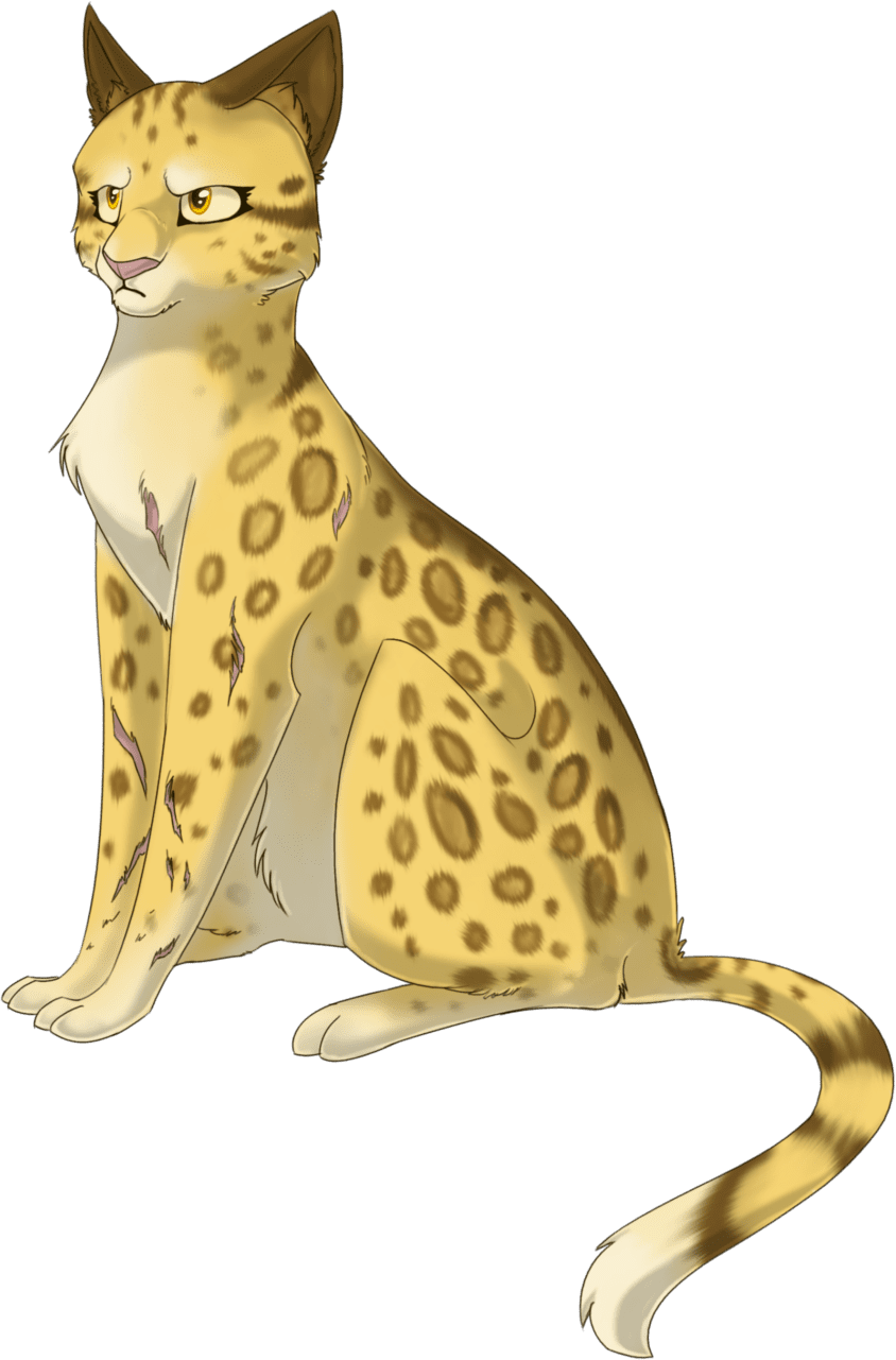 Jaguar leopardstar by mysticmistsong deviantart clipart photo