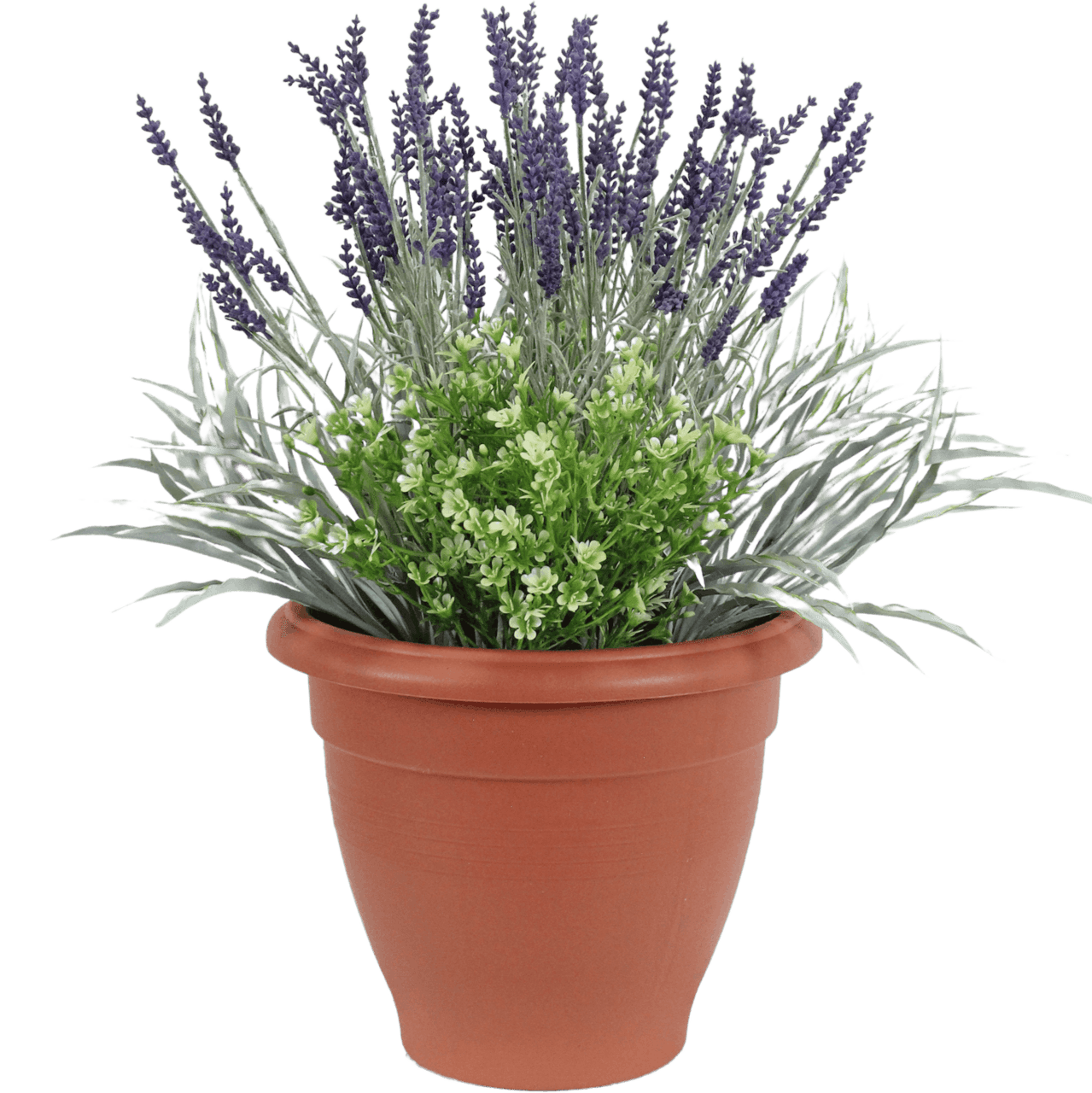 Lavender bush images browse photos vectors and video clipart