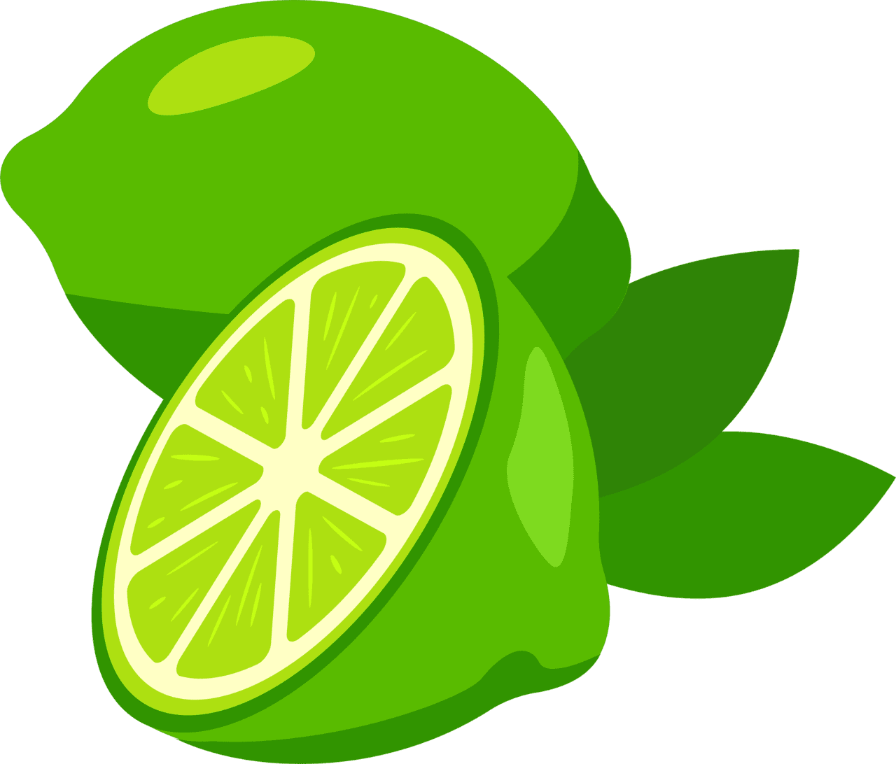 Lime vector clipart images