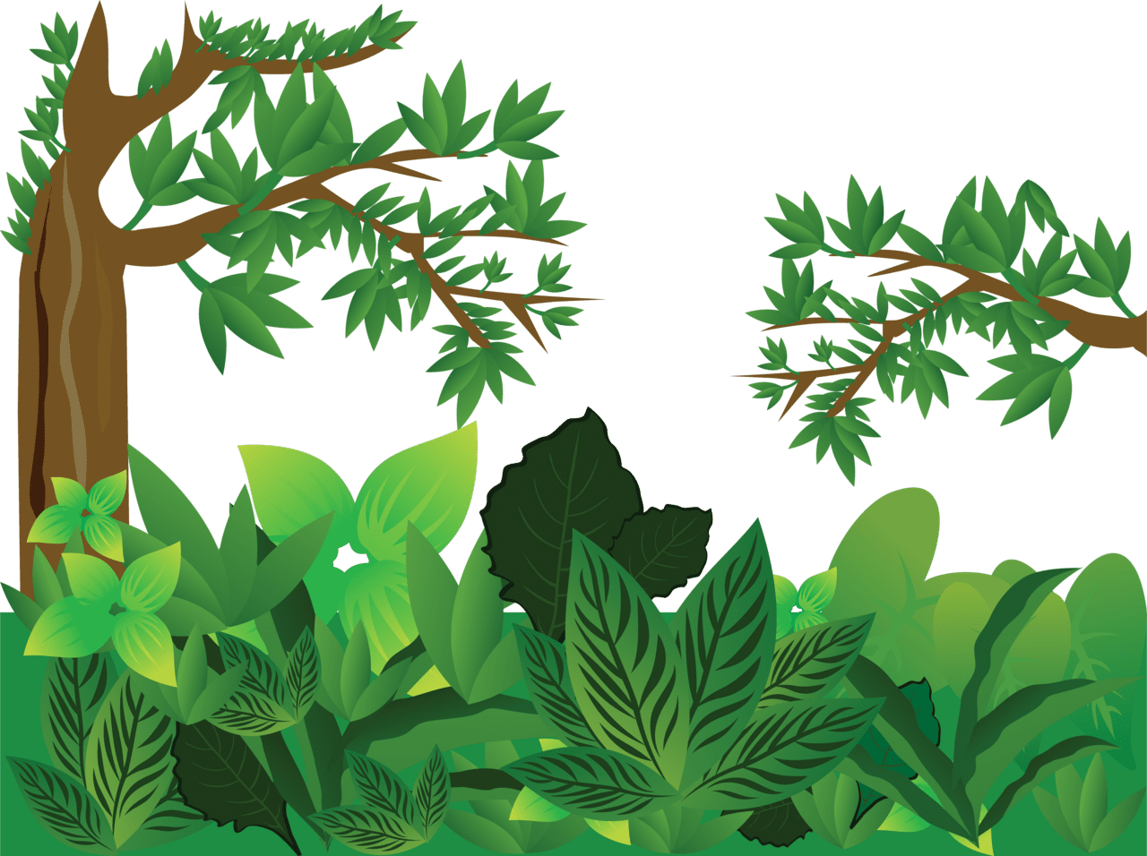 Jungle image size clipart