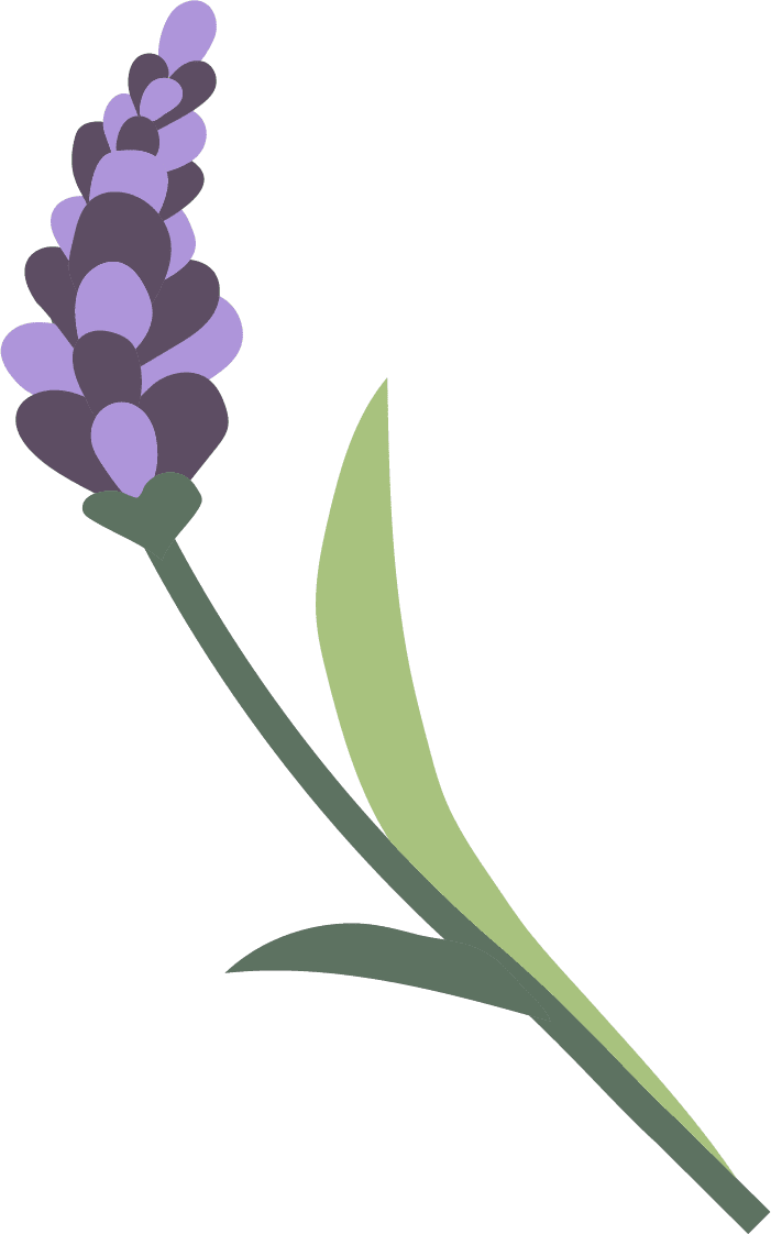 Lavender springs alpaca clipart vector