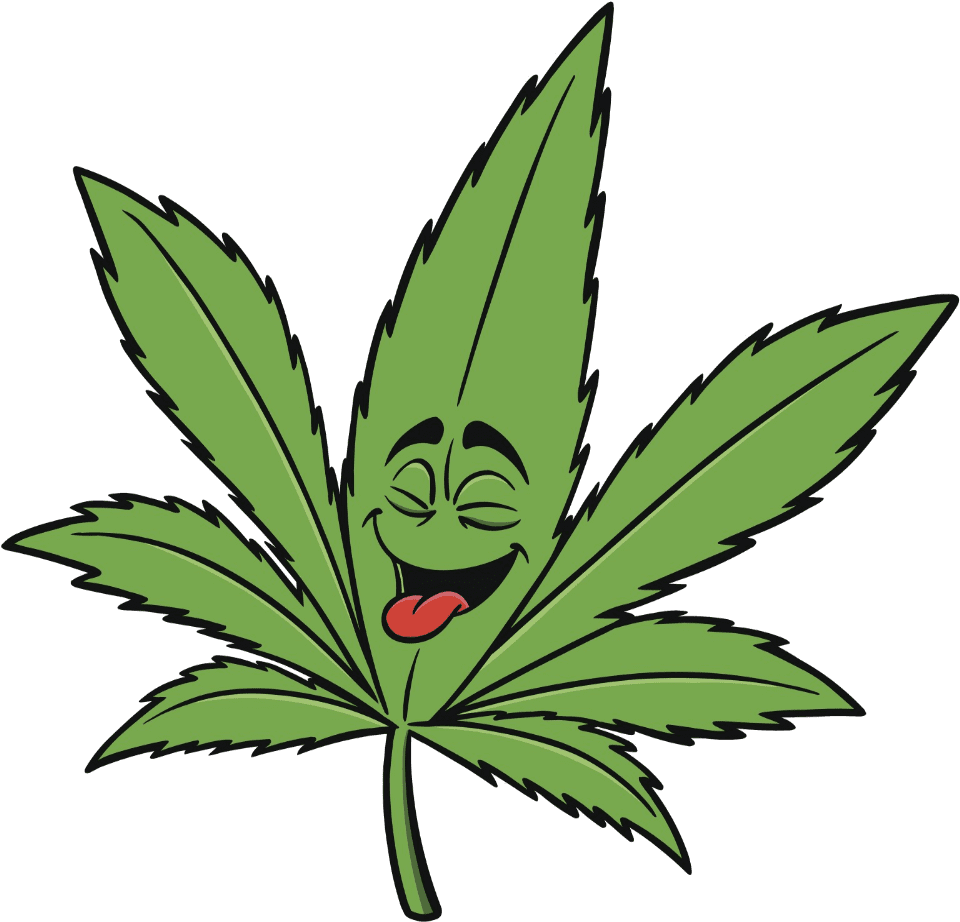 Marijuana leaf cannabis smoking cartoon transprent hemp drawing clipart large size image