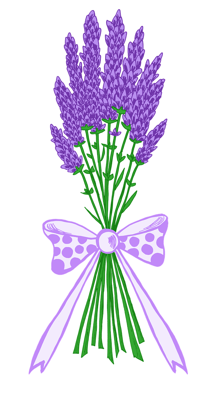 Lavender bloom flowers image clipart