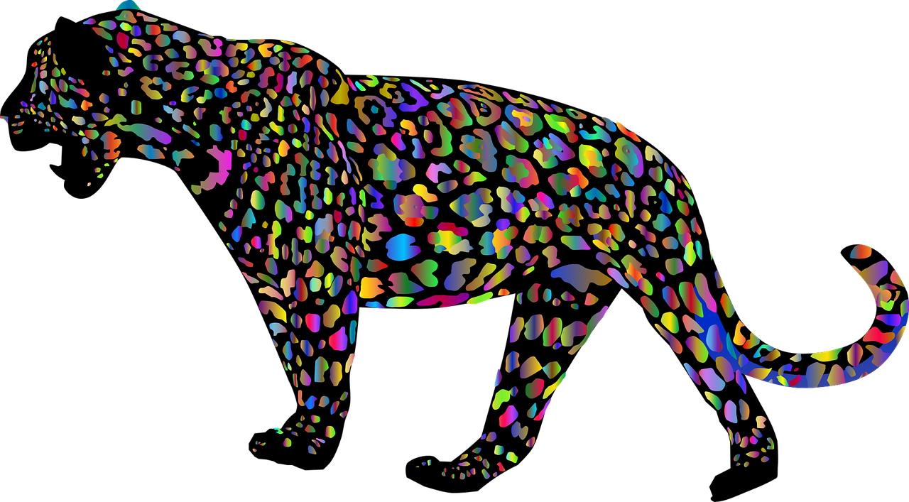 Jaguar animal photos all clipart