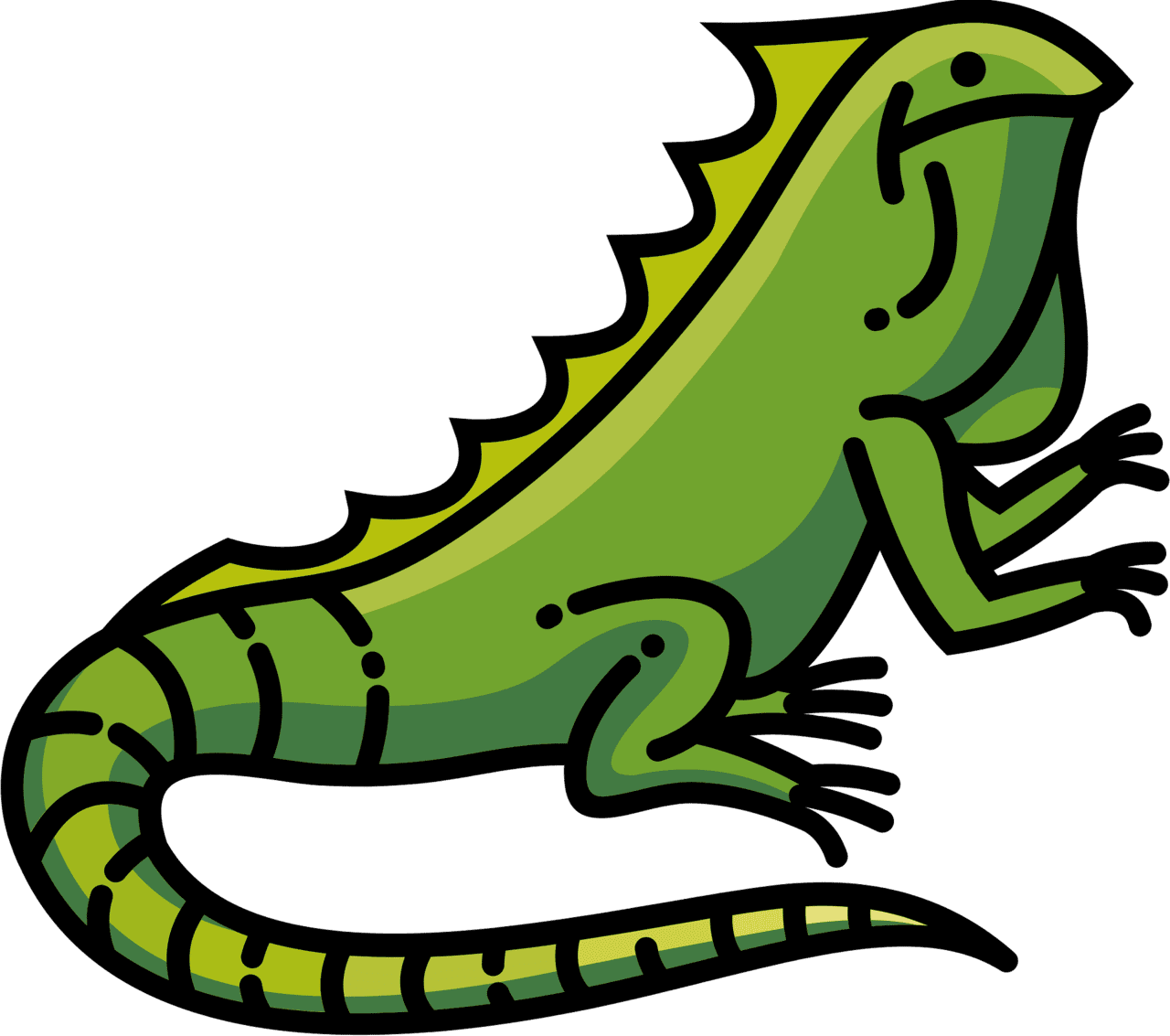 Iguana vector clipart images 2