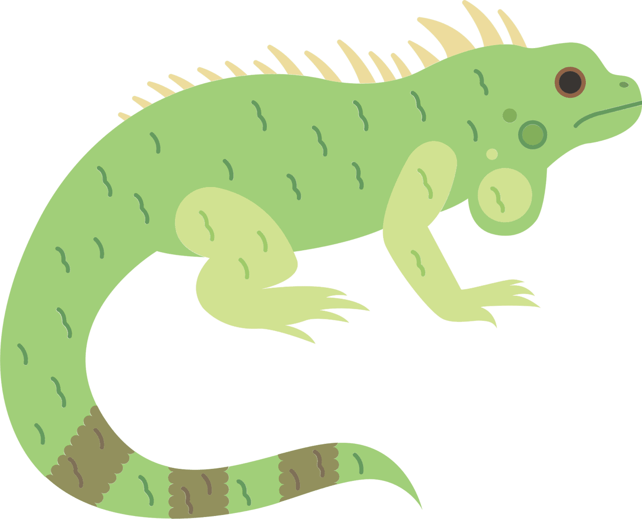 Iguana vector clipart images 7