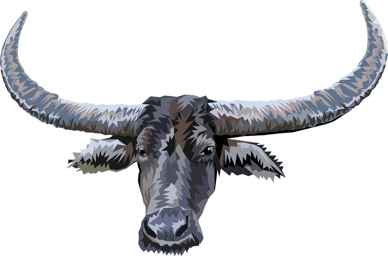 Longhorn face vector clipart images