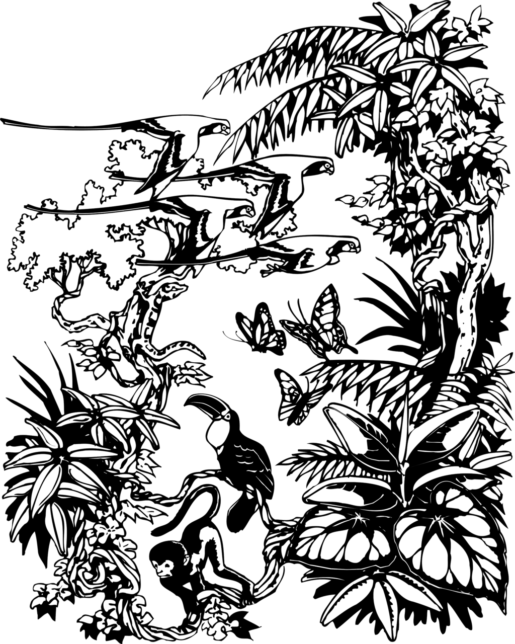 Jungle border drawing image with no background clipart