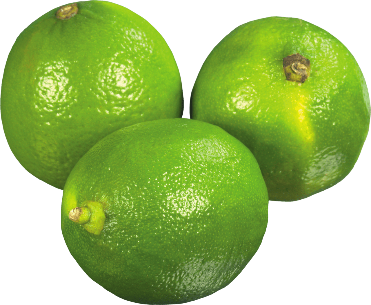 Lime image size clipart 2