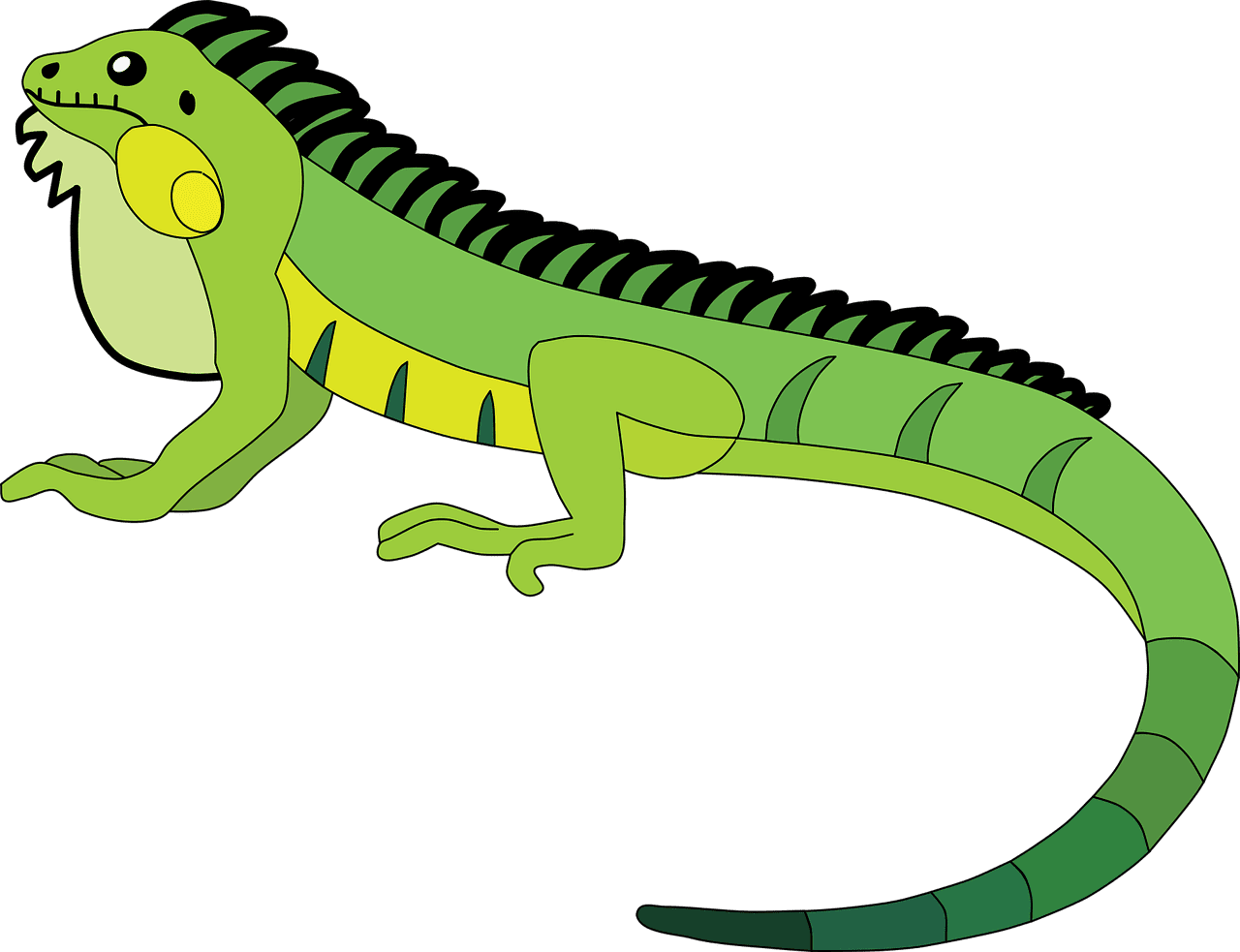 Iguana reptile lizard vector graphic clipart