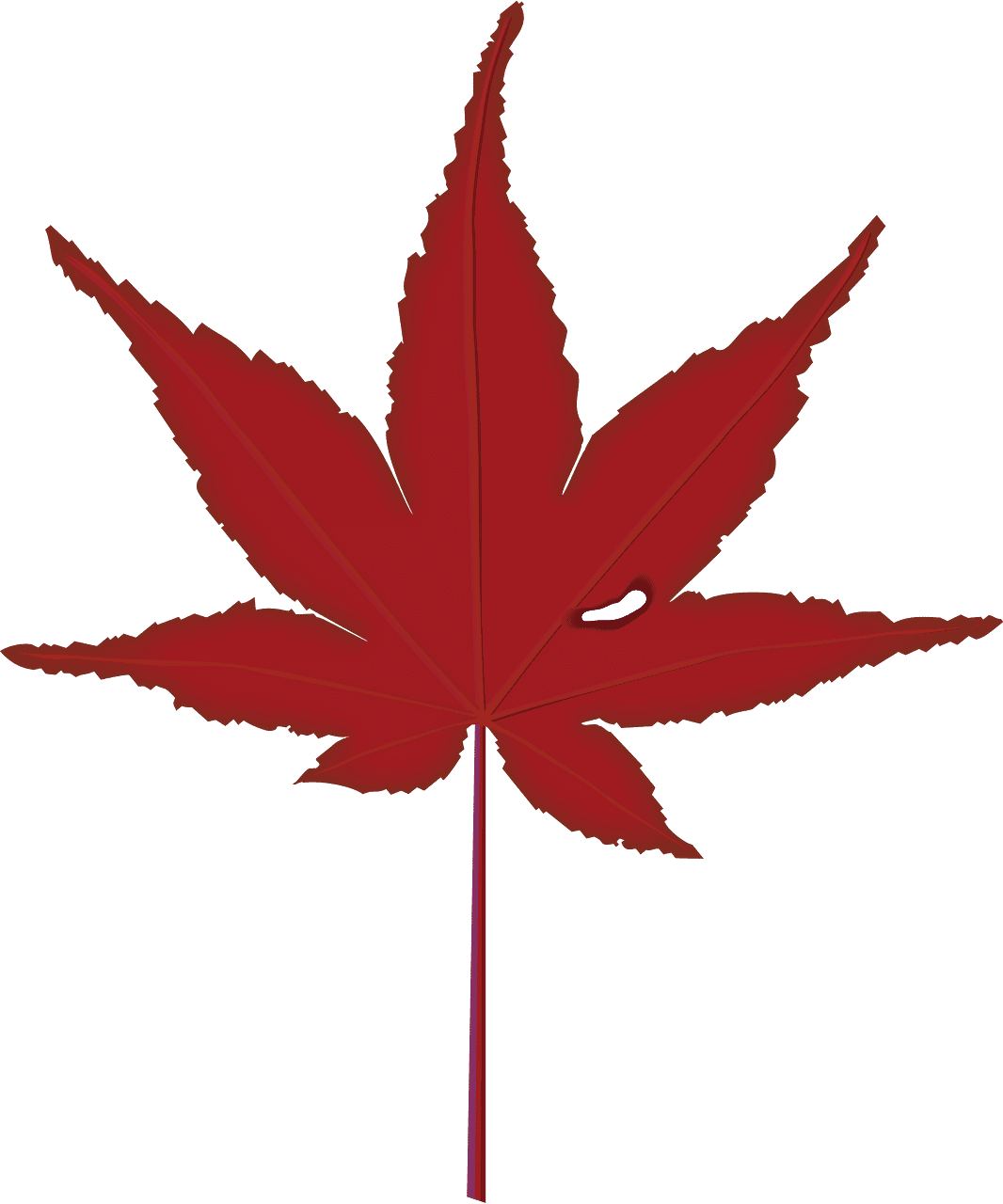 Maple leaf vector clipart images 6