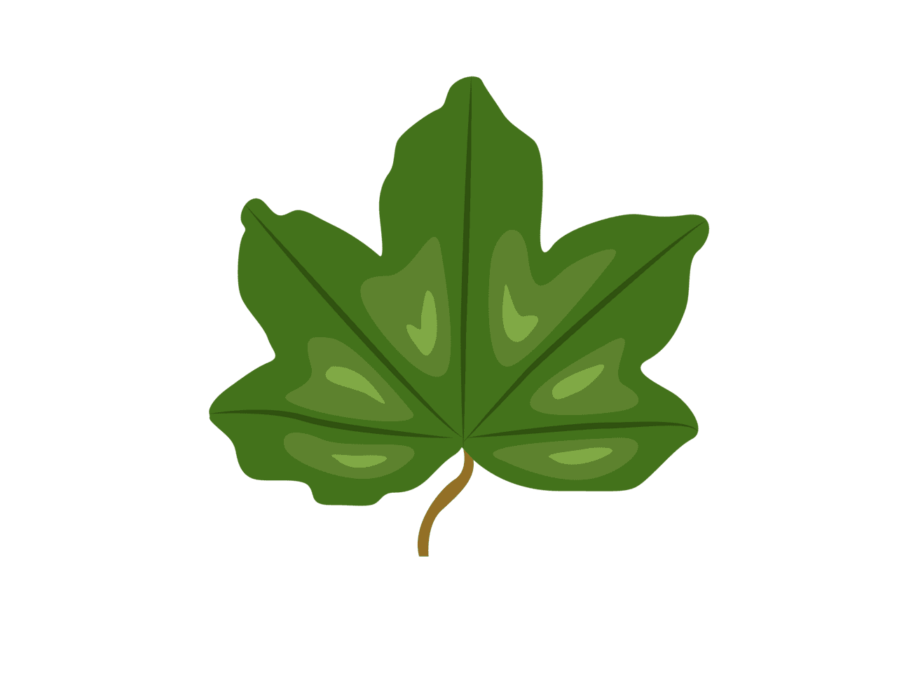 Hedge maple leaf by red sugar design clipart vector