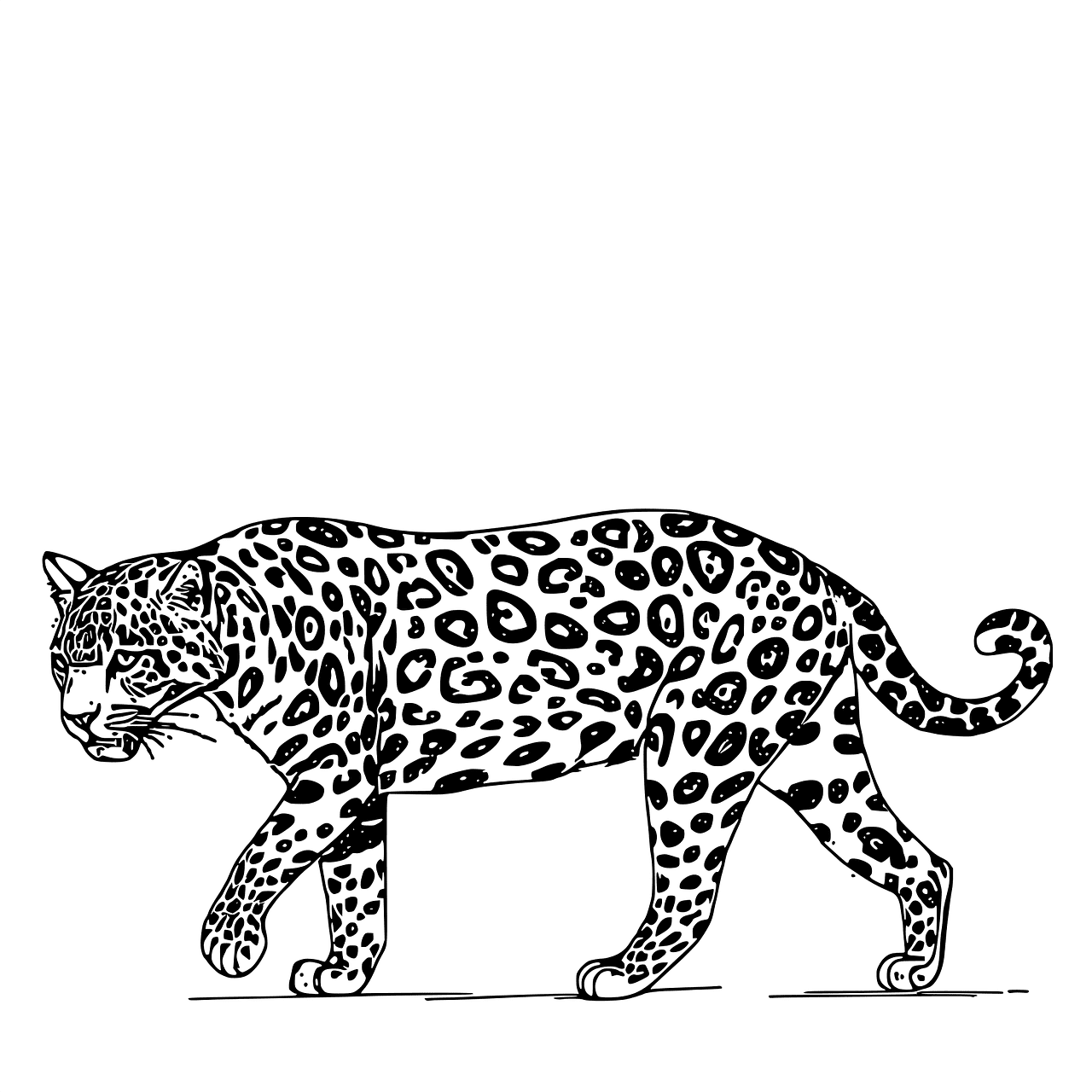 Jaguar mammal animal vector graphic clipart