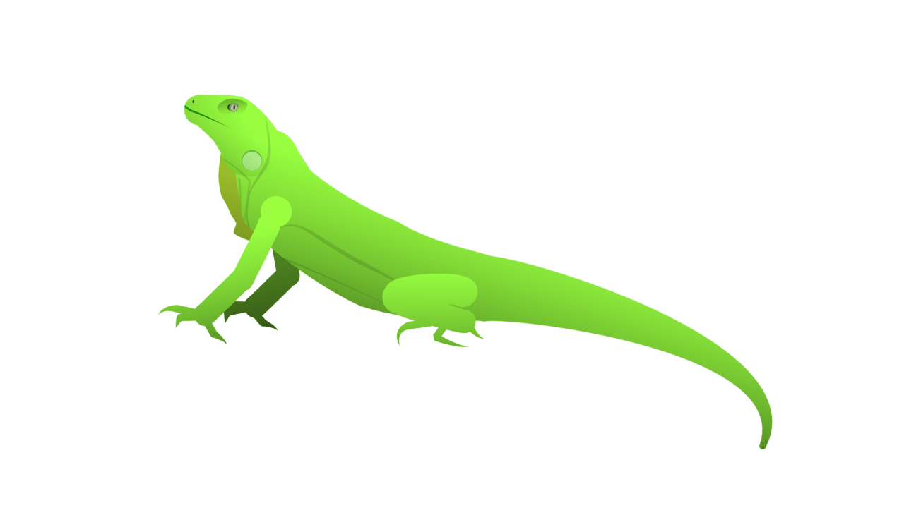 Iguana sifz artwork clipart photo