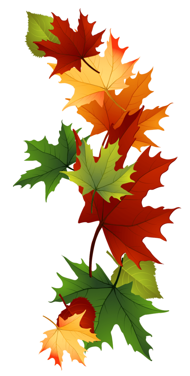 Maple leaf fall leaves clipart beautiful autumn image ts in open hands