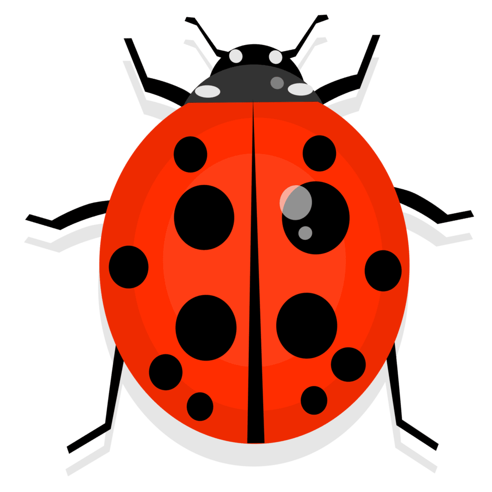 Lady beetle cute ladybug insect clipart transparent
