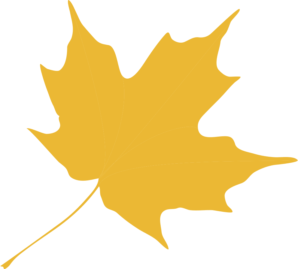 Gold maple leaf ridge community foundation clipart vector