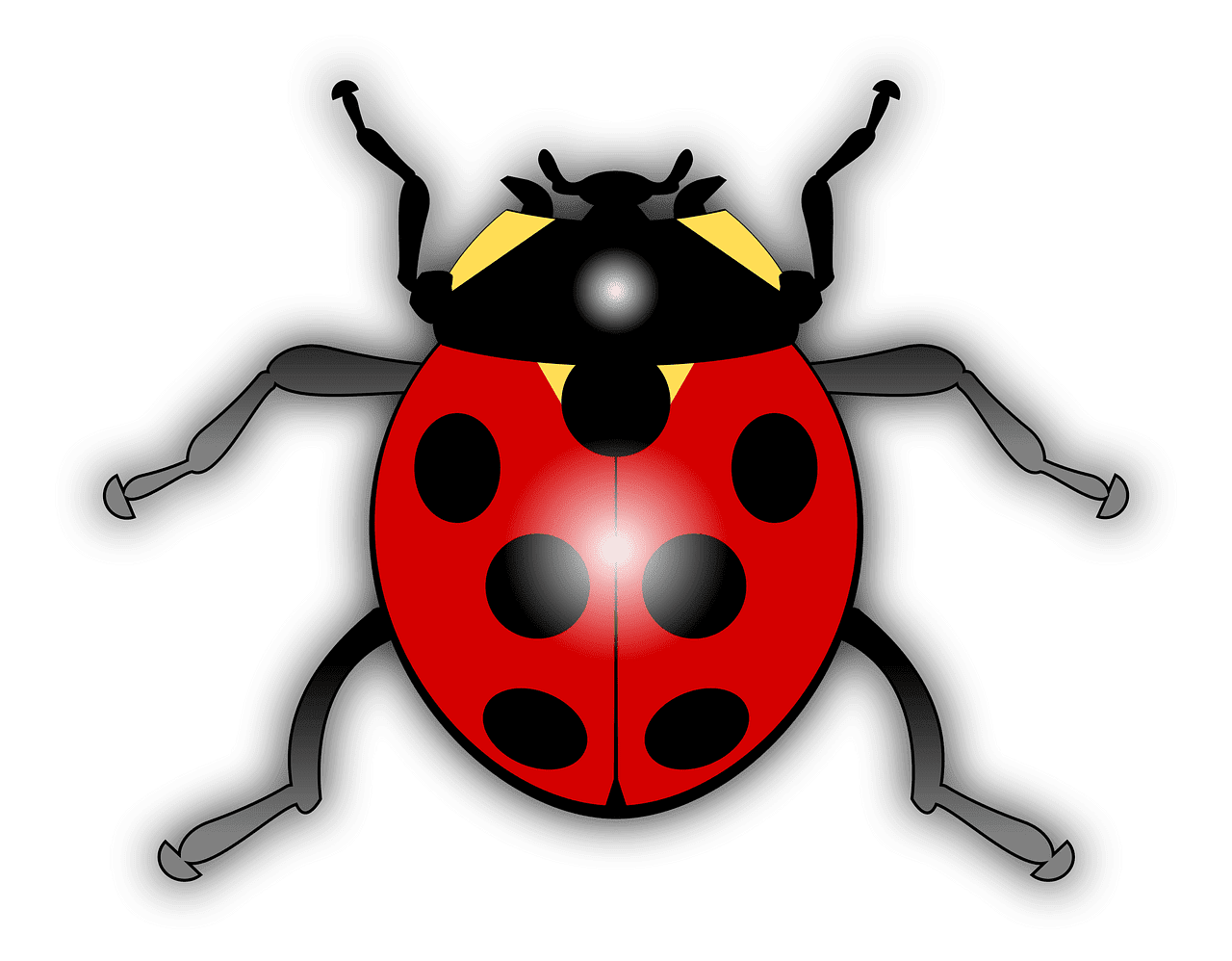 Lady beetle ladybug vector clipart images 8