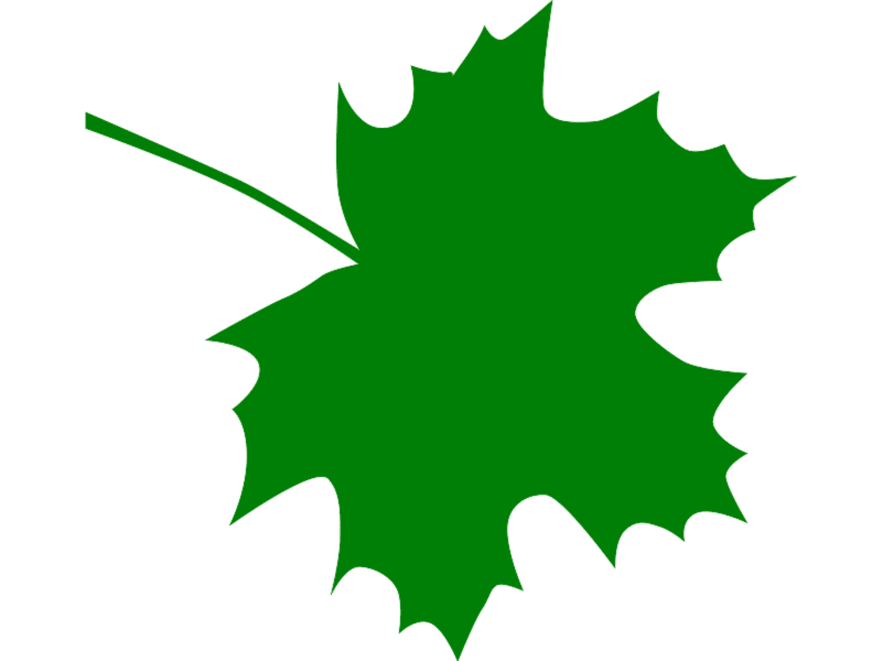 Sugar maple leaf clipart image