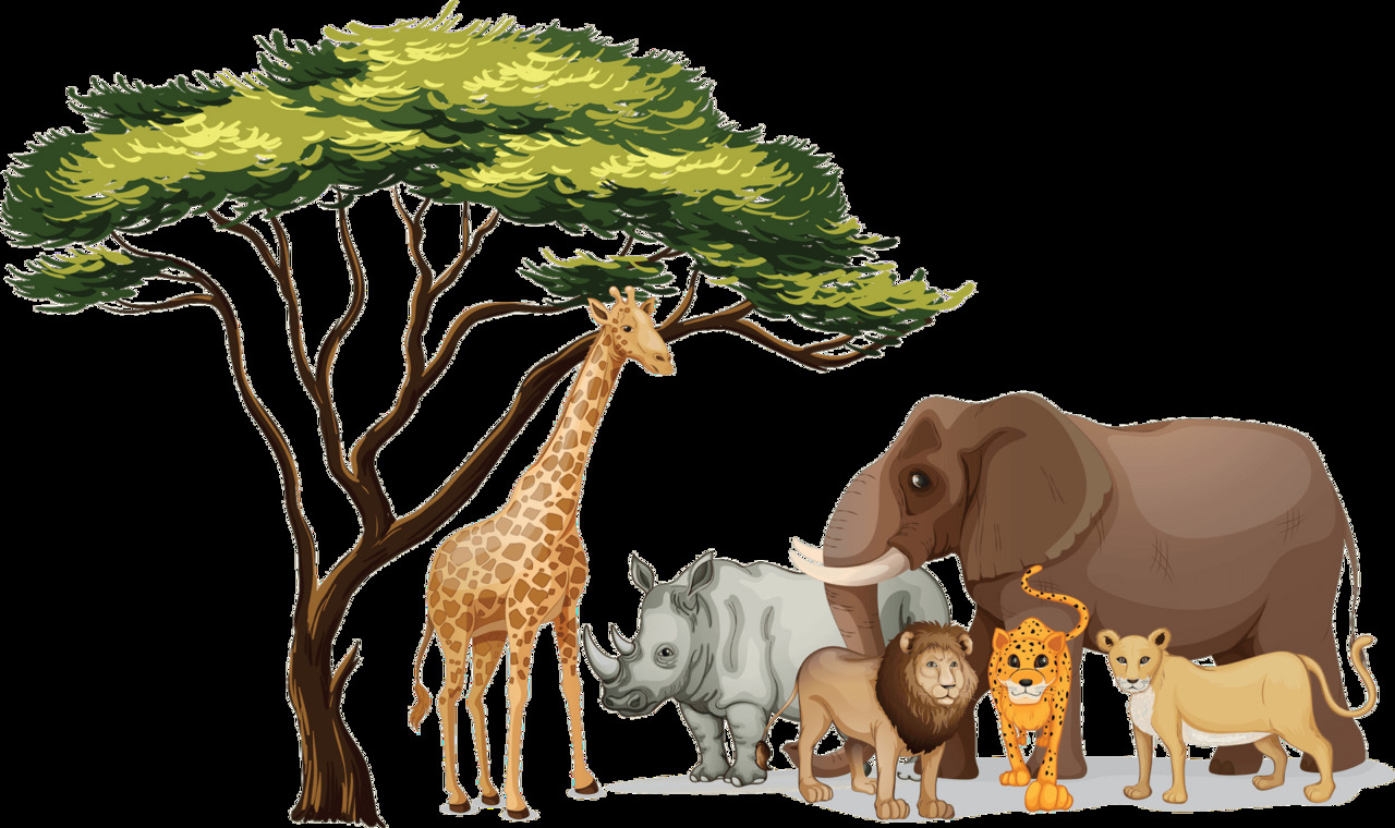 Jungle african safari animals gathering clipart photo