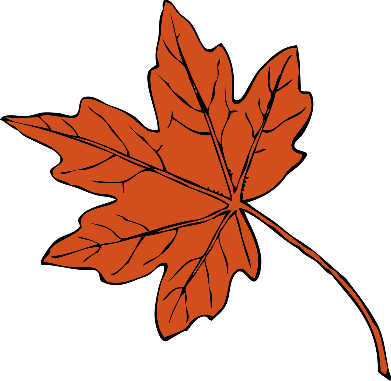 Hd maple leaf drawing autumn color red clipart image