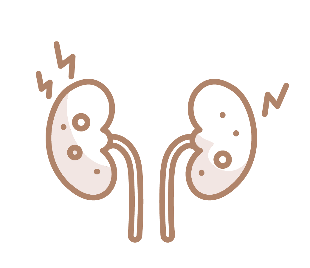 Kidney the clark suites specialist medical clipart clip art