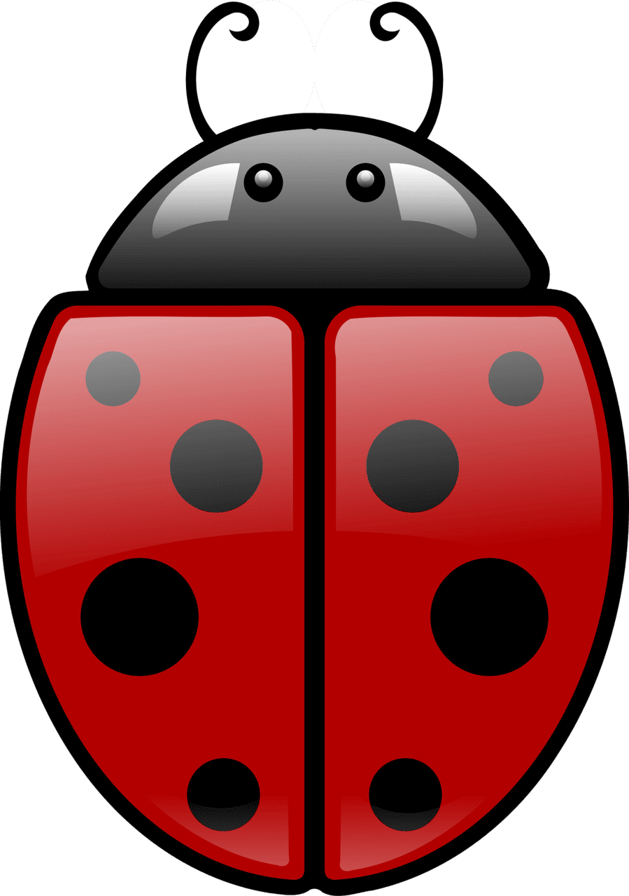 Lady beetle ladybug vector clipart images 4