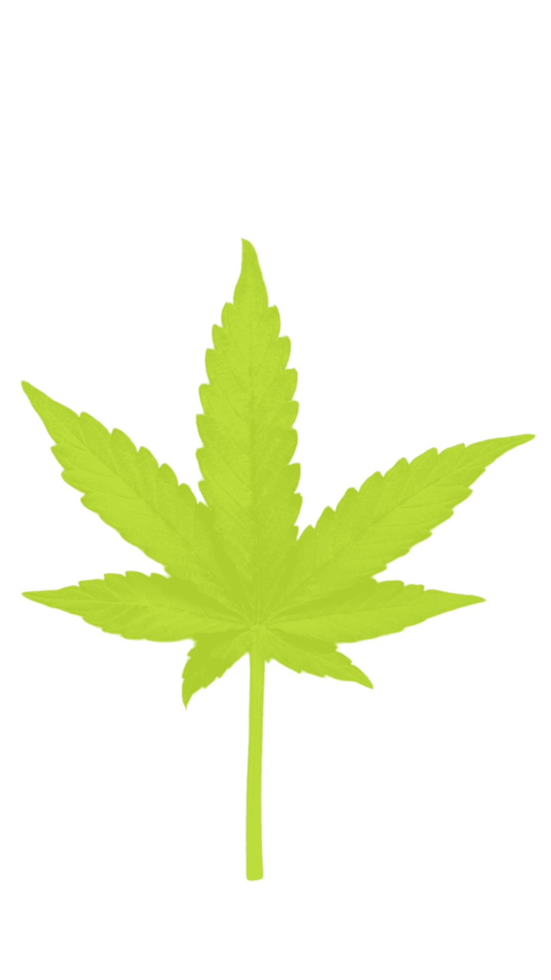 Marijuana leaf victoria green lights cannabis for kids the stralian clipart logo