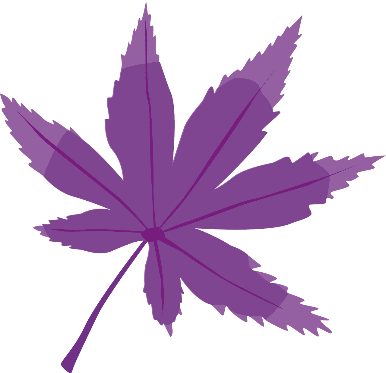 Marijuana leaf purple vector clipart images