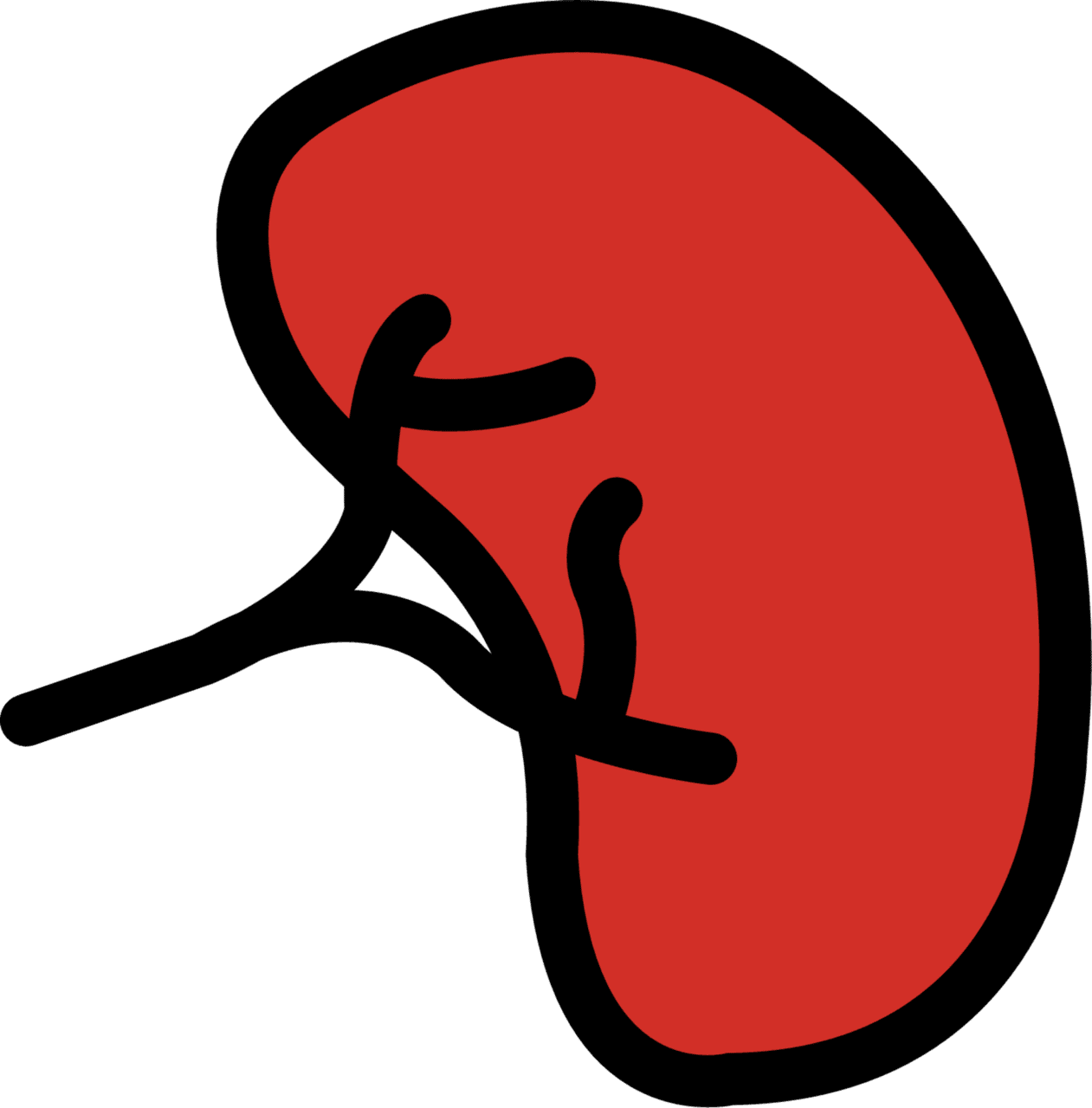 Kidney emoji for clipart picture