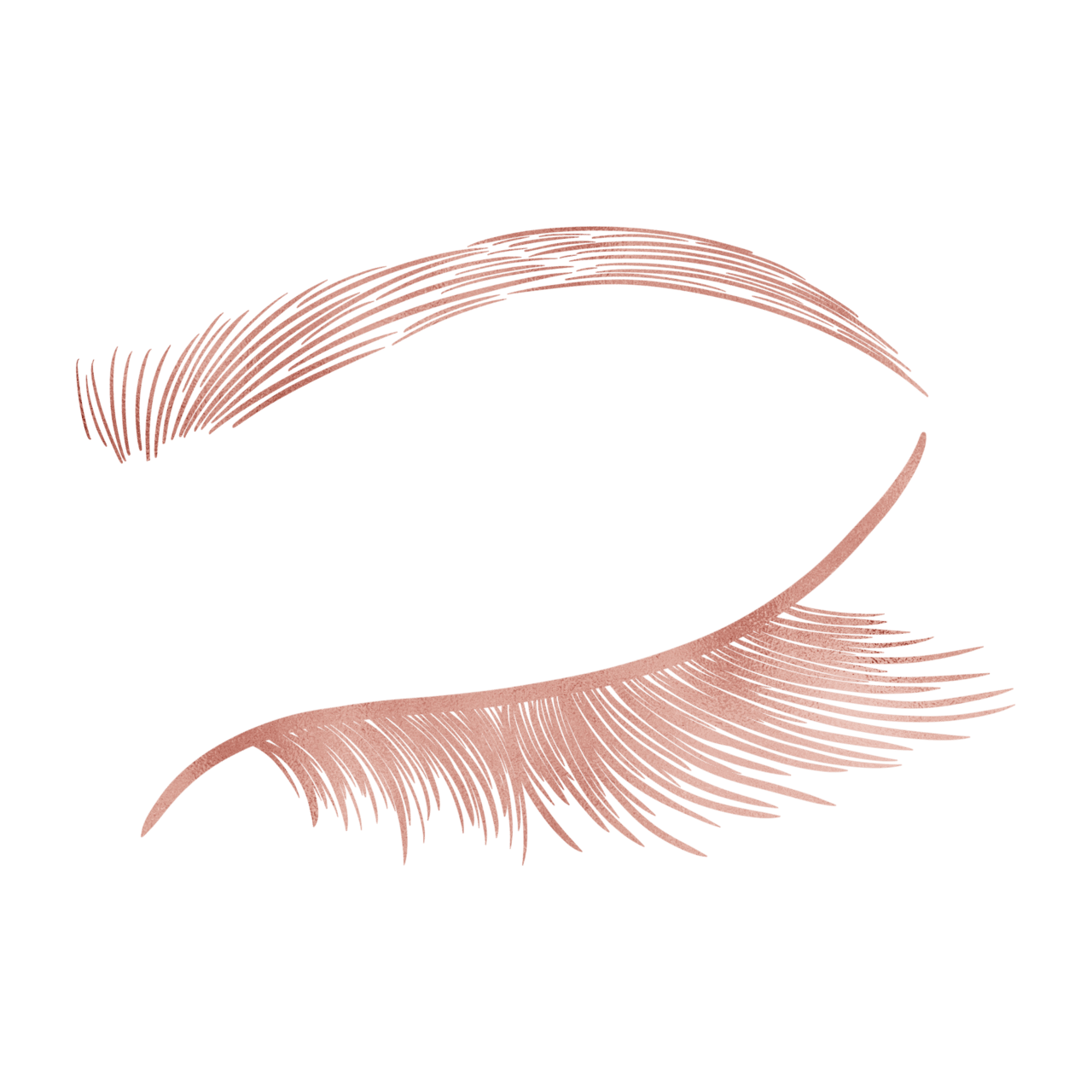 Lashes eye lash image all clipart