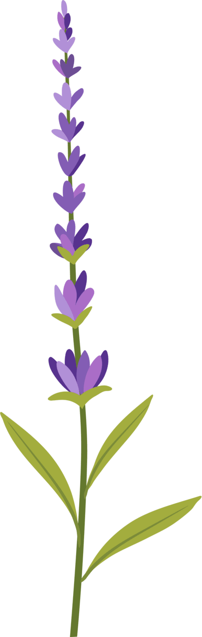 Lavender vector clipart images 8