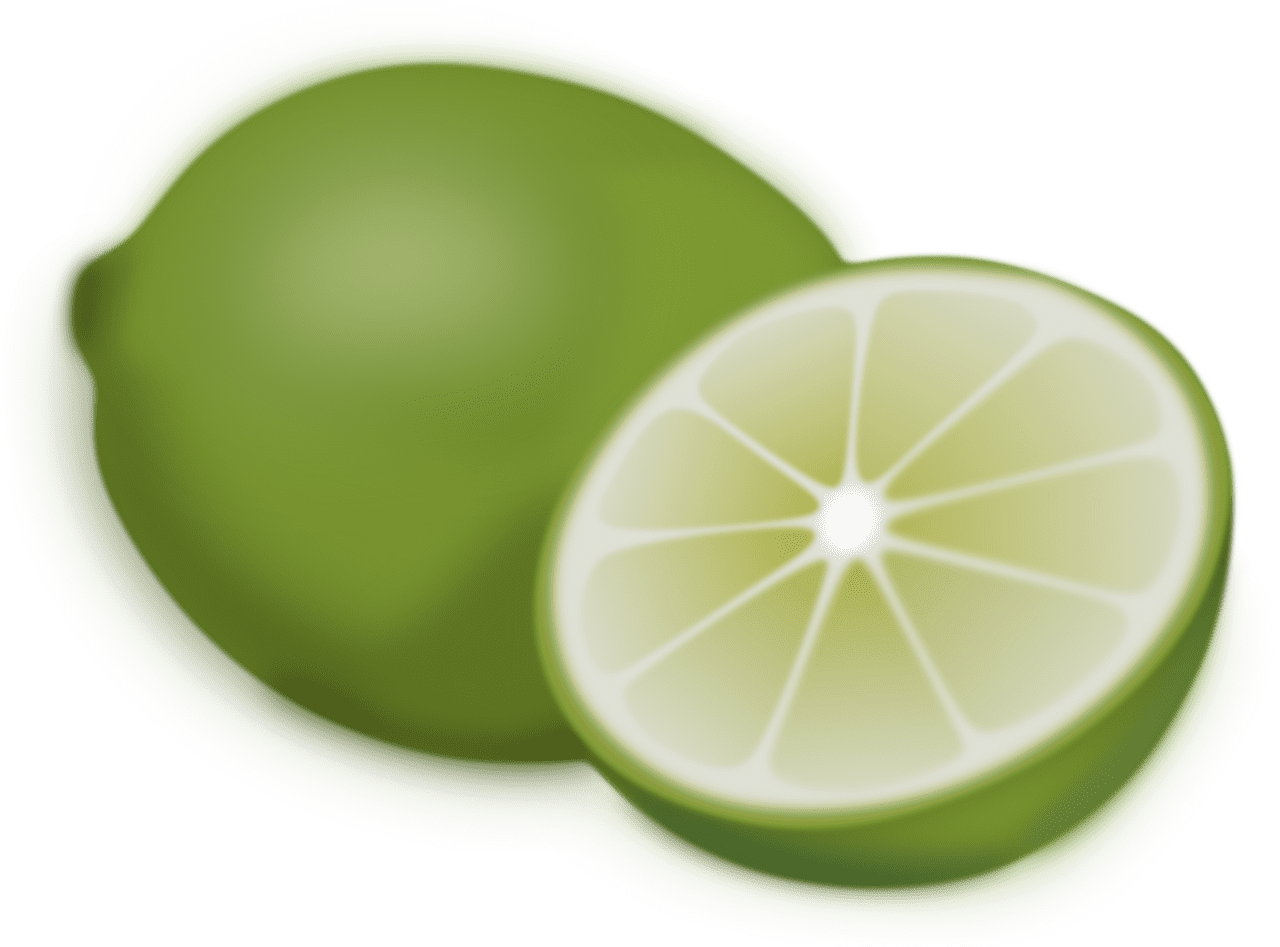 Lime fruit food vector graphic clipart