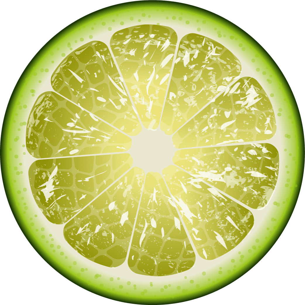 Lime slice grafix nepal clipart vector