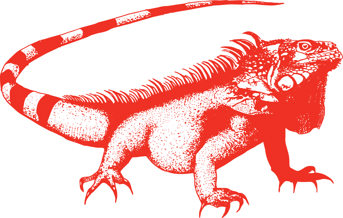 Rj iguana everyday hot sauce clipart picture