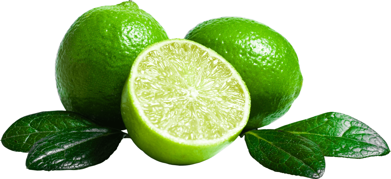 Lime clipart large size image